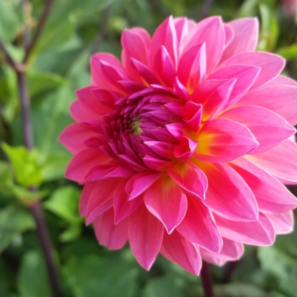 SHOP COMING SOON! Used/Vintage/Antique - Picture 4 of 4